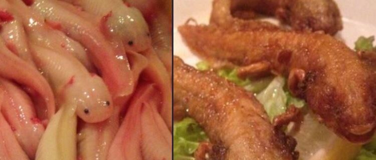 Indigna en México restaurante japonés que presuntamente vende ajolotes fritos en su menú
