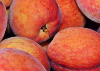 Cofepris alerta sobre contaminación en frutas provenientes de EU