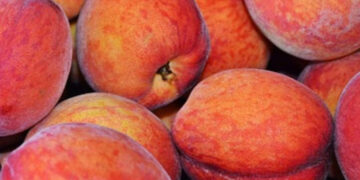 Cofepris alerta sobre contaminación en frutas provenientes de EU