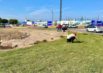 Avanza por etapas la rehabilitación de la glorieta ubicada en Carlos Canseco