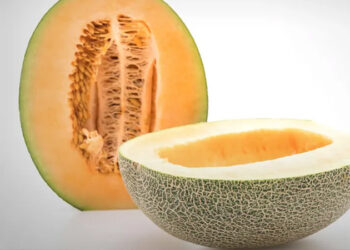 Canadá reporta 6 personas muertas por brote de salmonela en melones mexicanos