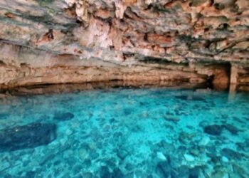 Las mejores paradas del Tren Maya para visitar cenotes