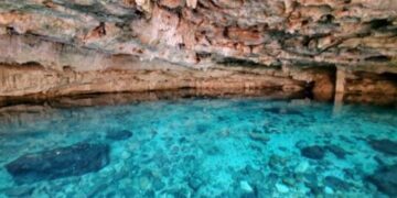 Las mejores paradas del Tren Maya para visitar cenotes