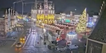 ¡Amargas fiestas! Mujer muere aplastada por Árbol de Navidad gigante | VIDEO