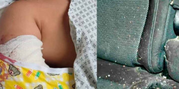 Persecución entre oficiales y sicarios deja dos niños heridos en Tamaulipas