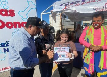 Memo Romero llama a atender a animales en situación de calle || Reacción Informativa
