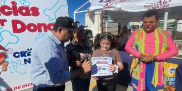 Memo Romero llama a atender a animales en situación de calle || Reacción Informativa