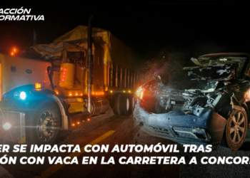 Tráiler se Impacta con Automóvil Tras Colisión con Vaca en la Carretera a Concordia