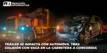 Tráiler se Impacta con Automóvil Tras Colisión con Vaca en la Carretera a Concordia