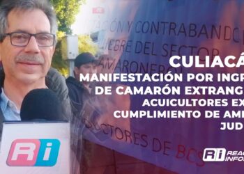 Manifestación en Culiacán por ingreso de camarón extranjero: Acuicultores exigen cumplimiento de amparo judicial