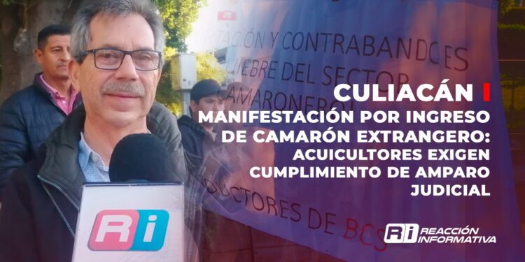 Manifestación en Culiacán por ingreso de camarón extranjero: Acuicultores exigen cumplimiento de amparo judicial