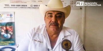 Ganaderos de Mazatlán solicitan aumento en el precio de la leche ante incremento de costos de insumos