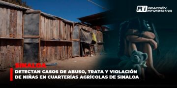 Detectan casos de abuso, trata y violación de niñas en cuarterías agrícolas de Sinaloa