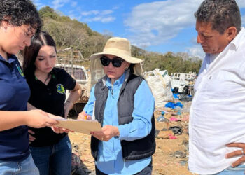 Gobierno de Mazatlán instalará el primer Apiario Municipal