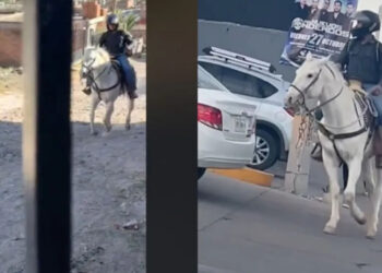 “Uno puede andar en lo que sea”: Repartidor de DiDi hace entregas a caballo; se viraliza
