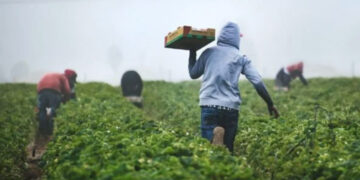 México pide a EU que entregue visas a por lo menos 10 millones de migrantes