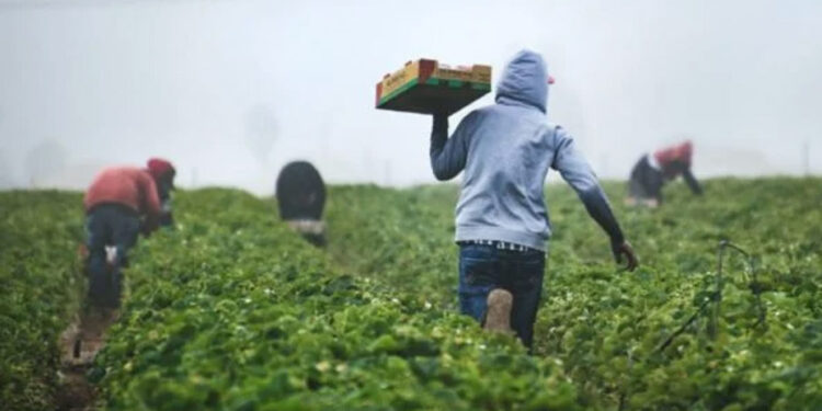 México pide a EU que entregue visas a por lo menos 10 millones de migrantes