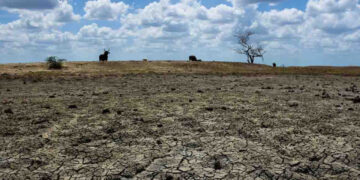 Alerta por sequía, presas inician 2024 con déficit de 25%; el peor de la historia