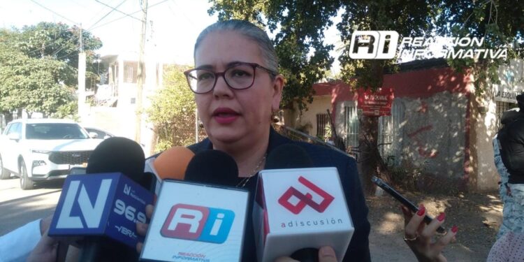 Hasta ahora no tenemos ninguna precandidatura: Domínguez Nava