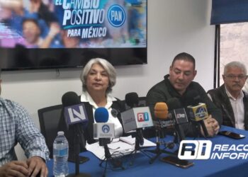 Erika Sánchez podría ser la candidata por la coalición “Fuerza y Corazón por México”: PAN