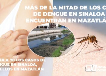 Más de la mitad de los casos de dengue en Sinaloa se encuentran en Mazatlán: SS