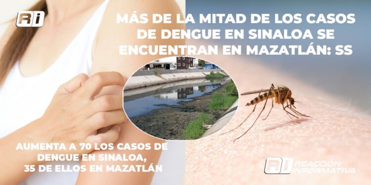 Más de la mitad de los casos de dengue en Sinaloa se encuentran en Mazatlán: SS