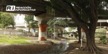 Una pierna humana fue encontrada en cerca de la Isla Orabá, Culiacán