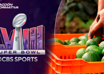 Super Bowl recibirá 130 mil toneladas de aguacate de productores de México