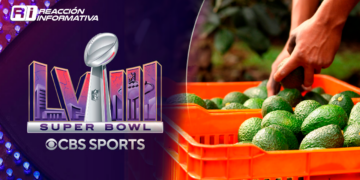 Super Bowl recibirá 130 mil toneladas de aguacate de productores de México