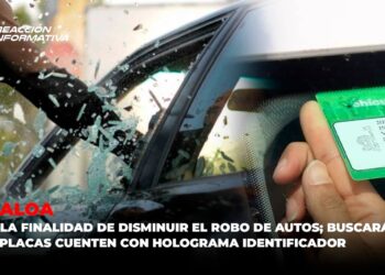 Sinaloa: Con la finalidad de disminuir el robo de autos; buscarán que placas cuenten con holograma identificador