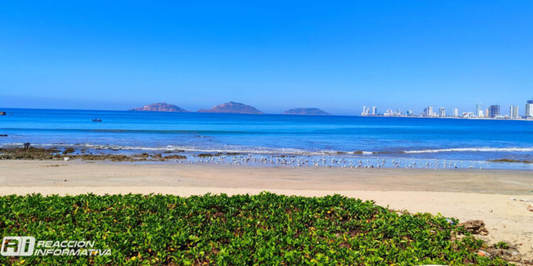 Frente frío 36 provocará vientos fuertes y bajas temperaturas en Mazatlán