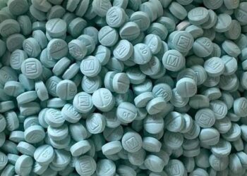 Aseguran carga de drogas dentro de panales de abeja en la autopista Culiacán-Ahome