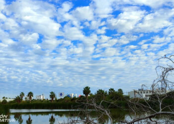 Temperaturas de hasta 19 °C y vientos fuertes se prevén hoy sábado para Mazatlán