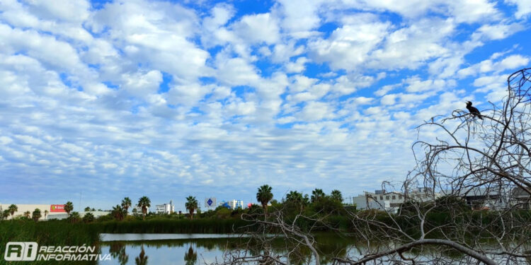 Temperaturas de hasta 19 °C y vientos fuertes se prevén hoy sábado para Mazatlán
