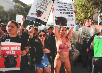 Tribunal anula suspensión y da luz verde a corridas de toros en la Plaza México