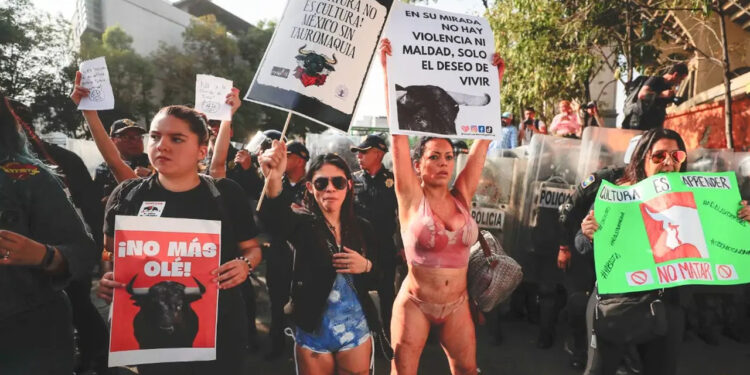 Tribunal anula suspensión y da luz verde a corridas de toros en la Plaza México