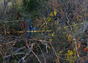 Localizan fosa clandestina en Baja California Sur con 113 restos óseos