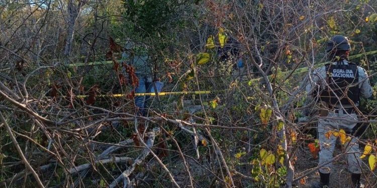 Localizan fosa clandestina en Baja California Sur con 113 restos óseos