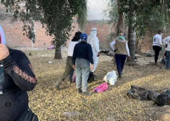 Encuentran 2 hornos crematorios y 7 fosas clandestinas en El Salto, Jalisco