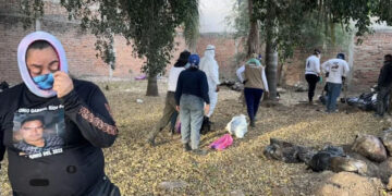 Encuentran 2 hornos crematorios y 7 fosas clandestinas en El Salto, Jalisco
