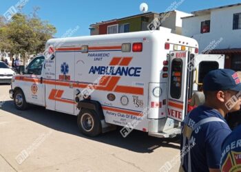 Atacan abejas a vecinos de Alborada; el enjambre se encontraba en el panteón del lugar