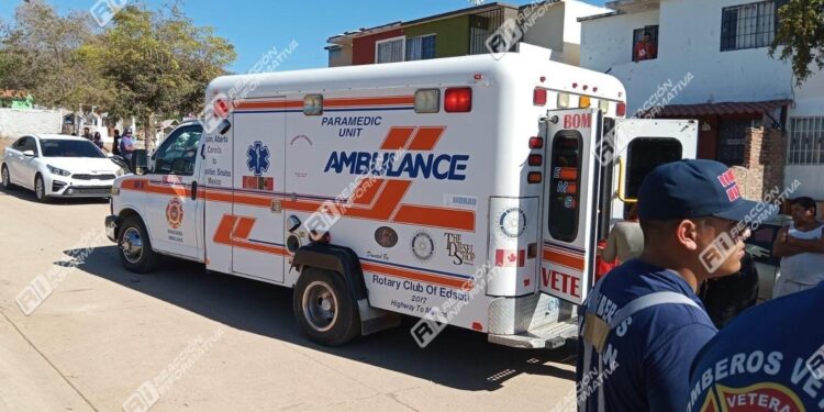 Atacan abejas a vecinos de Alborada; el enjambre se encontraba en el panteón del lugar