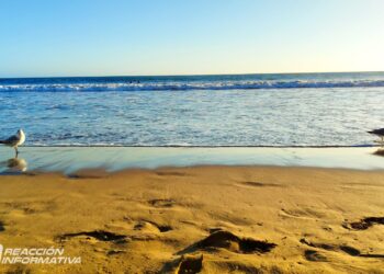 DÍa soleado para hoy lunes 19 de marzo en Mazatlán