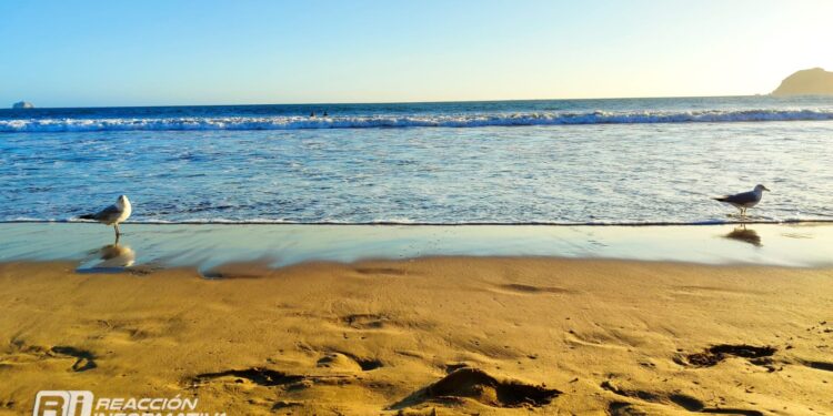 DÍa soleado para hoy lunes 19 de marzo en Mazatlán