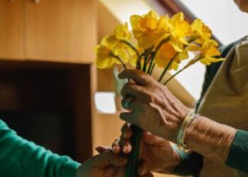 ¿Qué significa regalar flores amarillas y por qué se dan cada 21 de marzo?