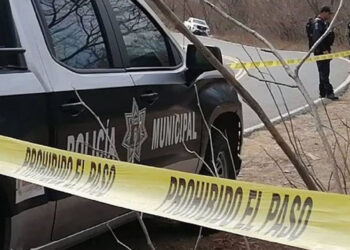 Reportan el desplome de avioneta en Sinaloa