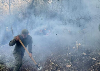 Reportan 59 incendios en al menos 15 estados del país; Veracruz suma ocho siniestros