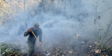 Reportan 59 incendios en al menos 15 estados del país; Veracruz suma ocho siniestros