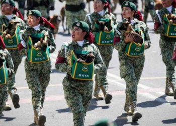 Diputados modifican Ley Militar para que haya “general secretaria” de la Defensa Nacional