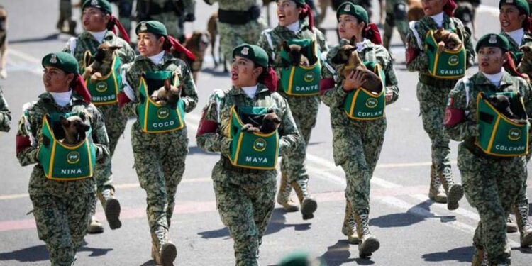 Diputados modifican Ley Militar para que haya “general secretaria” de la Defensa Nacional